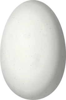 Illustration of a Tapajos Hermit (Phaethornis aethopygus) egg, 14.2 × 9.4 mm