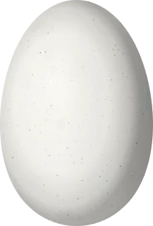 Illustration of a Tawny-bellied Hermit (Phaethornis syrmatophorus) egg, 14.09 × 9.53 mm