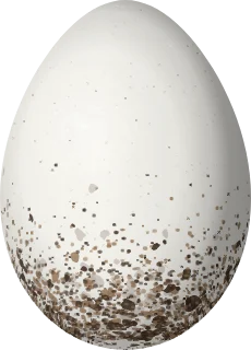 Illustration of a Tawny-capped Euphonia (Euphonia anneae) egg, 18.1 × 13 mm