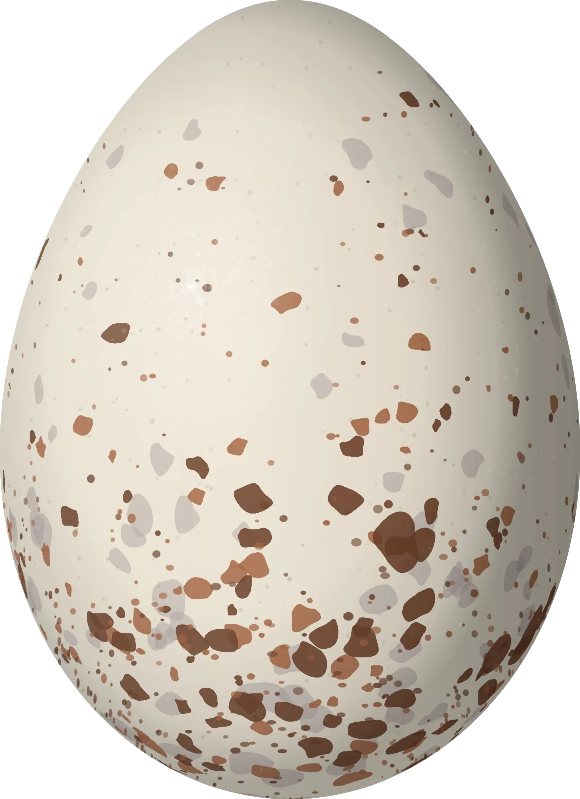 Illustration of a Tepui Brushfinch (Atlapetes personatus) egg, 23.8 × 17.3 mm