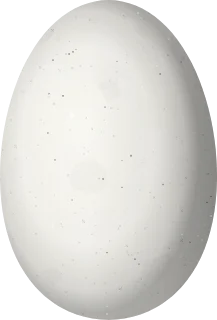 Illustration of a Tepui Goldenthroat (Polytmus milleri) egg, 12.7 × 8.6 mm