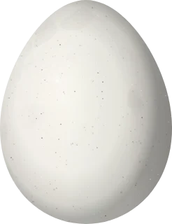Illustration of a Thorn-tailed Rayadito (Aphrastura spinicauda) egg, 18.6 × 14.3 mm