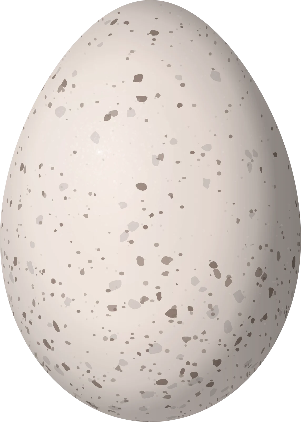 Illustration of a Thrush-like Wren (Campylorhynchus turdinus) egg, 23.1 × 16.5 mm
