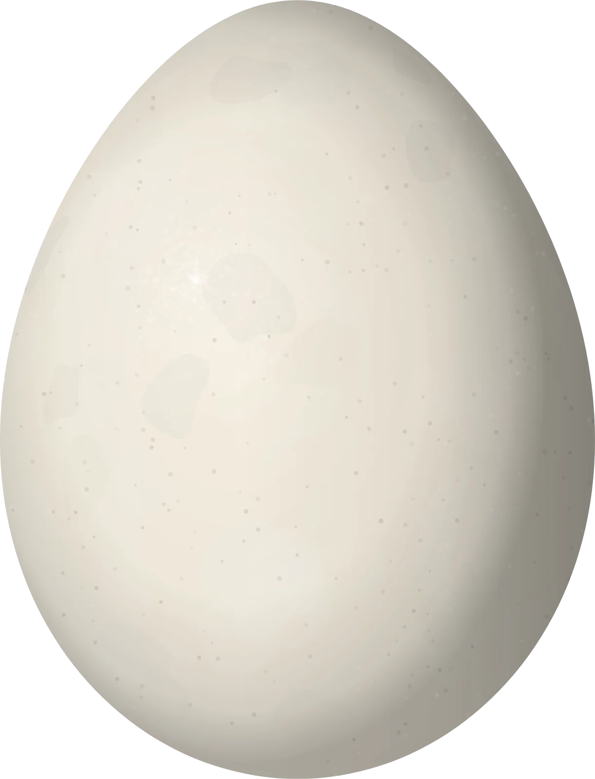 Illustration of a Ticking Doradito (Pseudocolopteryx citreola) egg, 16.5 × 12.6 mm
