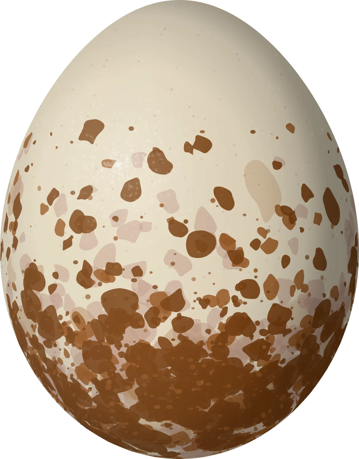 Illustration of a Tiny Hawk (Microspizias superciliosus) egg, 36.7 × 28.7 mm