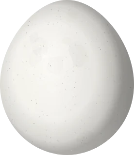 Illustration of a Tody Motmot (Hylomanes momotula) egg, 28.9 × 24.9 mm