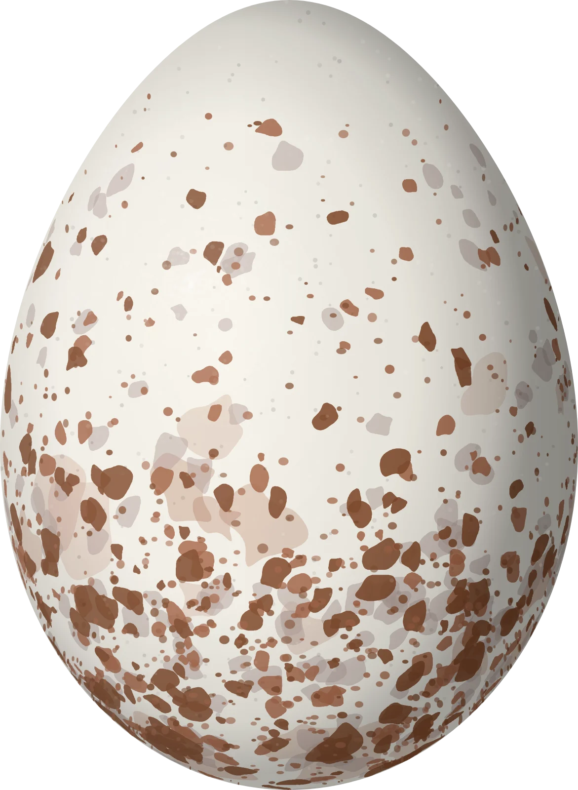 Illustration of a Townsend's Solitaire (Myadestes townsendi) egg, 23.5 × 17.2 mm
