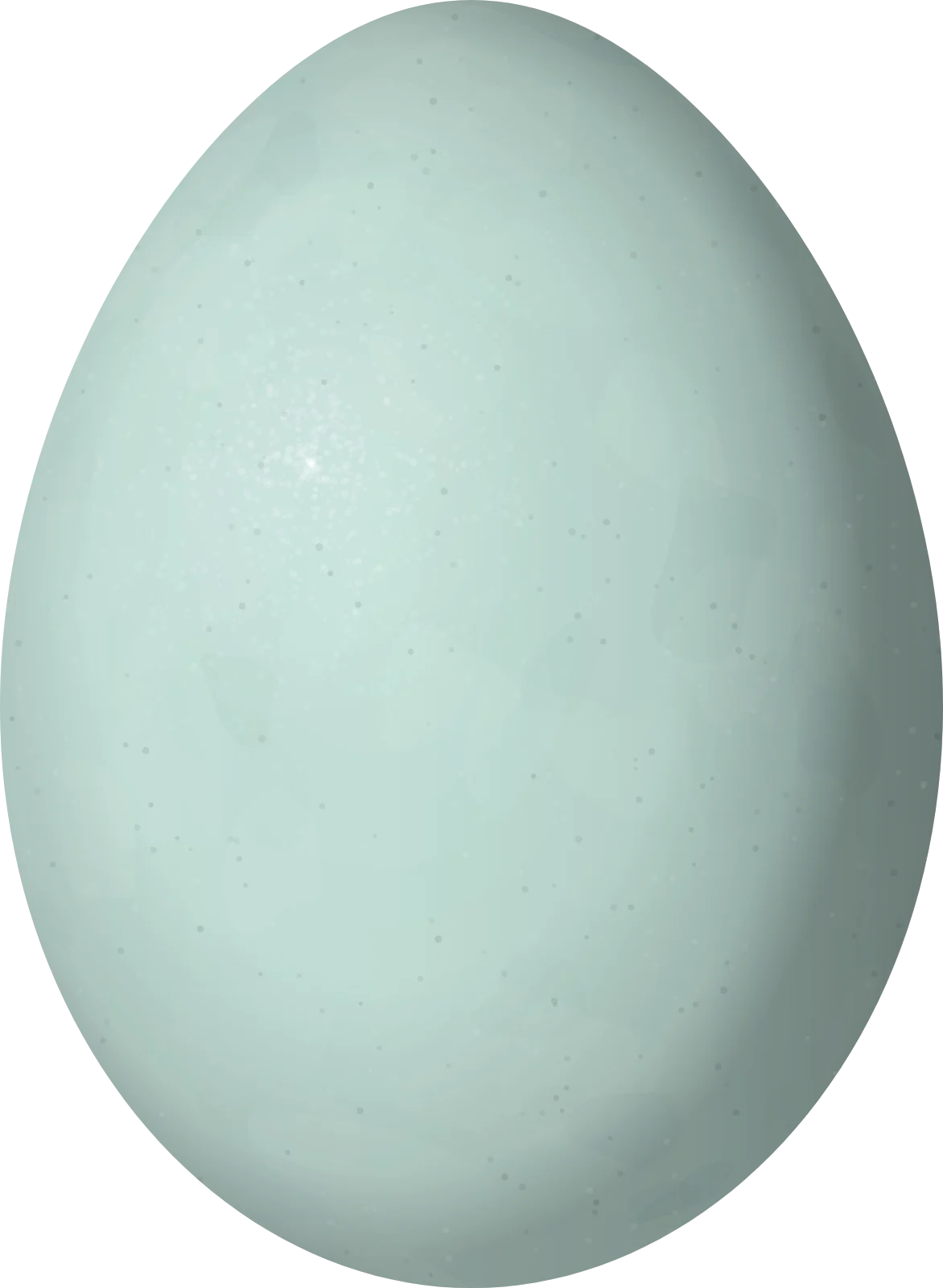 Illustration of a Tricolored Heron (Egretta tricolor) egg, 44.1 × 32.3 mm