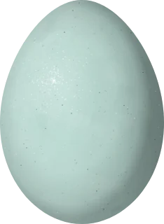 Tricolored Heron egg, 44.1 × 32.3 mm