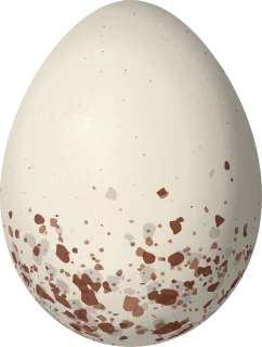 Illustration of a Trinidad Euphonia (Euphonia trinitatis) egg, 17.3 × 13.1 mm
