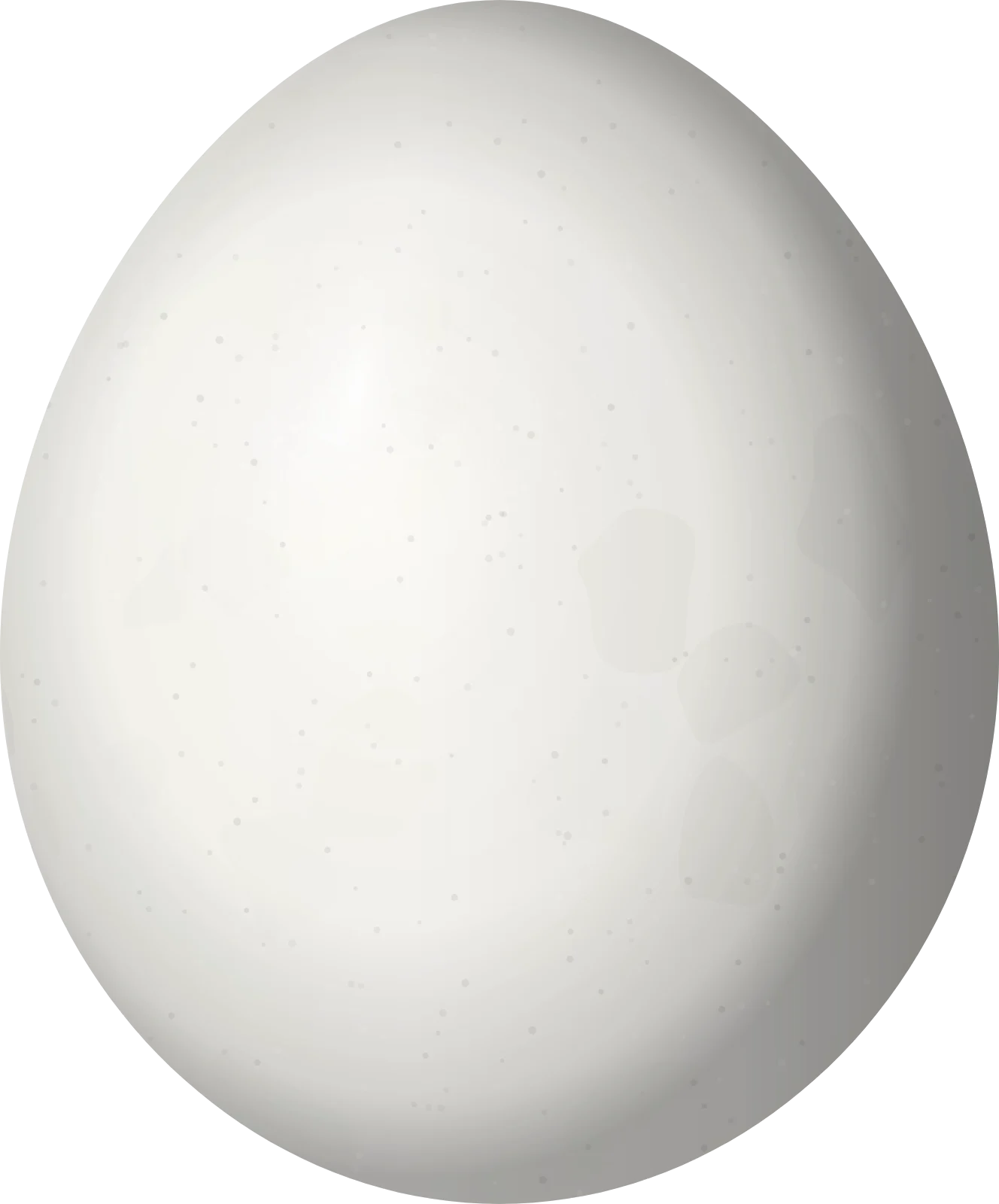 Illustration of a Trinidad Motmot (Momotus bahamensis) egg, 33 × 27.4 mm