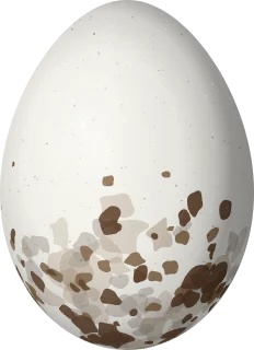 Tropical Kingbird egg, 23.7 × 17.2 mm