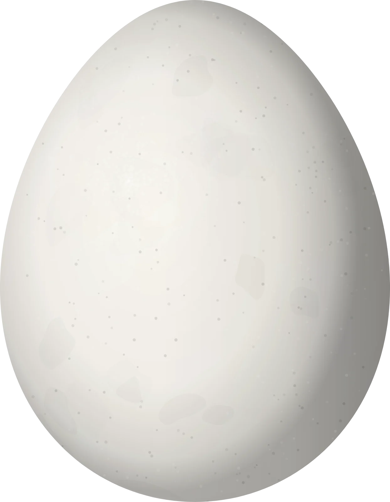 Illustration of a Tschudi's Tapaculo (Scytalopus acutirostris) egg, 22.9 × 17.8 mm