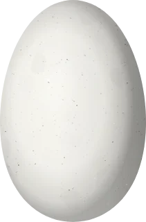 Illustration of a Tumbes Hummingbird (Thaumasius baeri) egg, 13.5 × 8.9 mm