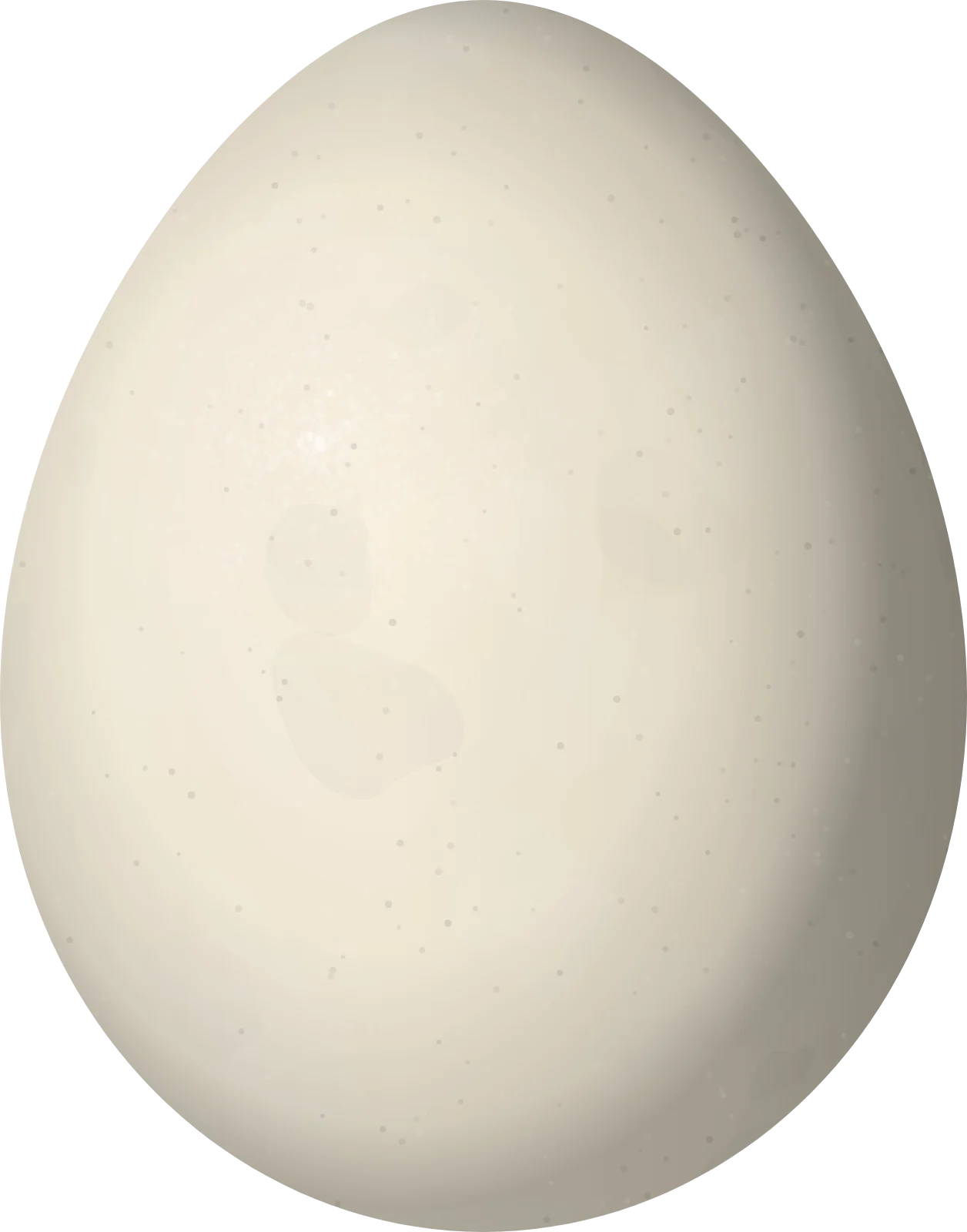 Illustration of a Tumbesian Tyrannulet (Nesotriccus tumbezanus) egg, 17.2 × 13.5 mm