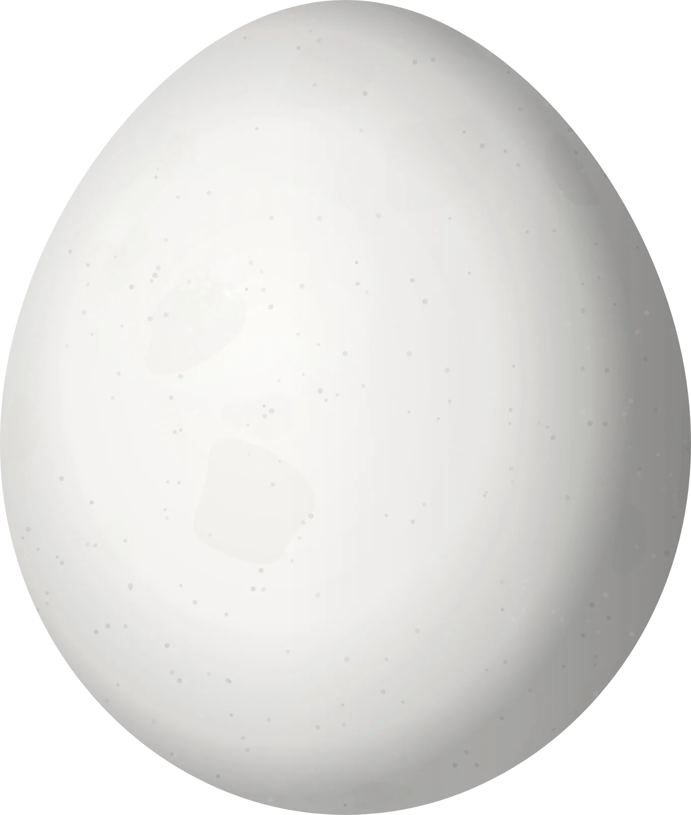 Illustration of a Turquoise-browed Motmot (Eumomota superciliosa) egg, 26.5 × 22.5 mm