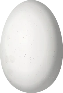 Illustration of a Turquoise-crowned Hummingbird (Cynanthus doubledayi) egg, 12.6 × 8.5 mm