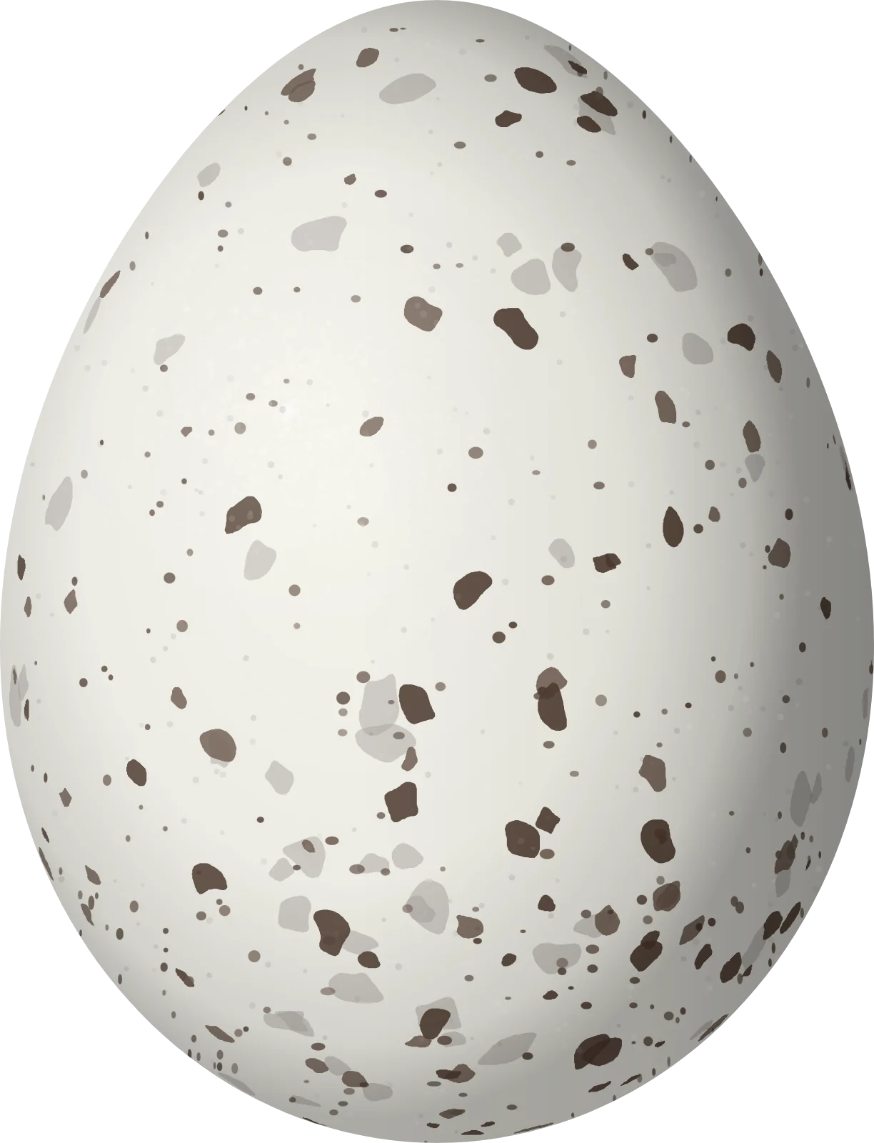 Illustration of a Turquoise Dacnis (Dacnis hartlaubi) egg, 17 × 13 mm