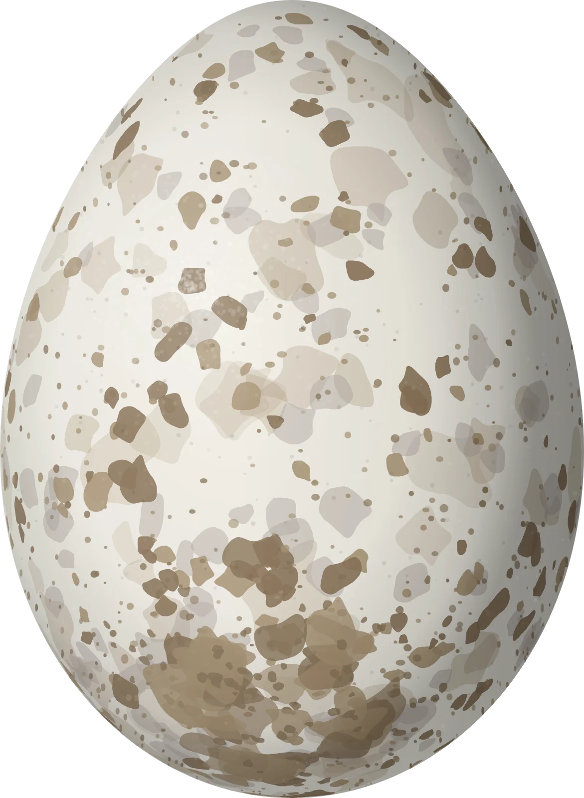 Illustration of a Turquoise Jay (Cyanolyca turcosa) egg, 27.6 × 20.2 mm