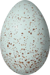 Illustration of an Ultramarine Grosbeak (Cyanoloxia brissonii) egg, 23.78 × 16 mm