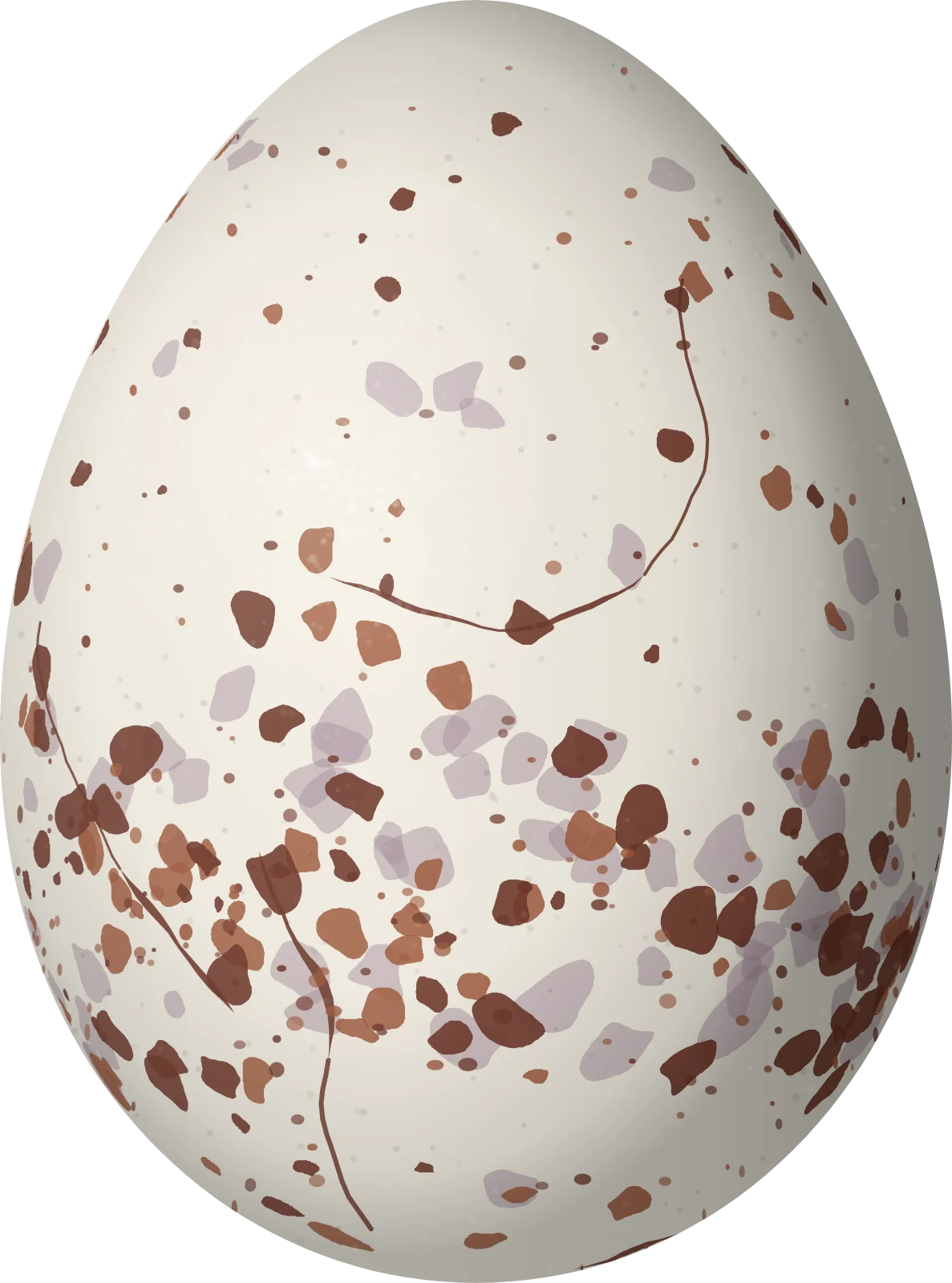 Illustration of an Unicolored Antwren (Myrmotherula unicolor) egg, 15.9 × 11.8 mm