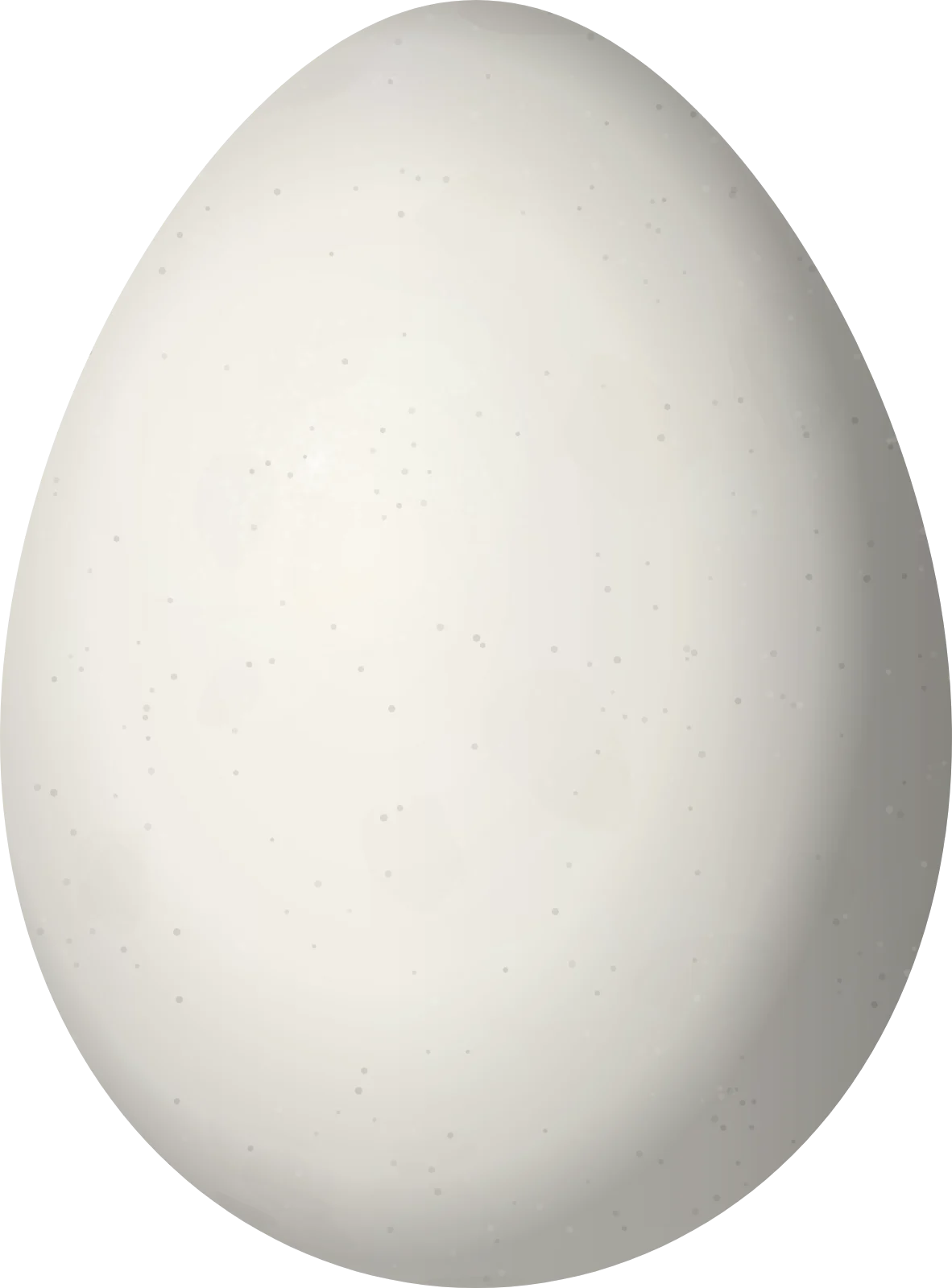 Illustration of an Uniform Treehunter (Thripadectes ignobilis) egg, 29.5 × 21.8 mm
