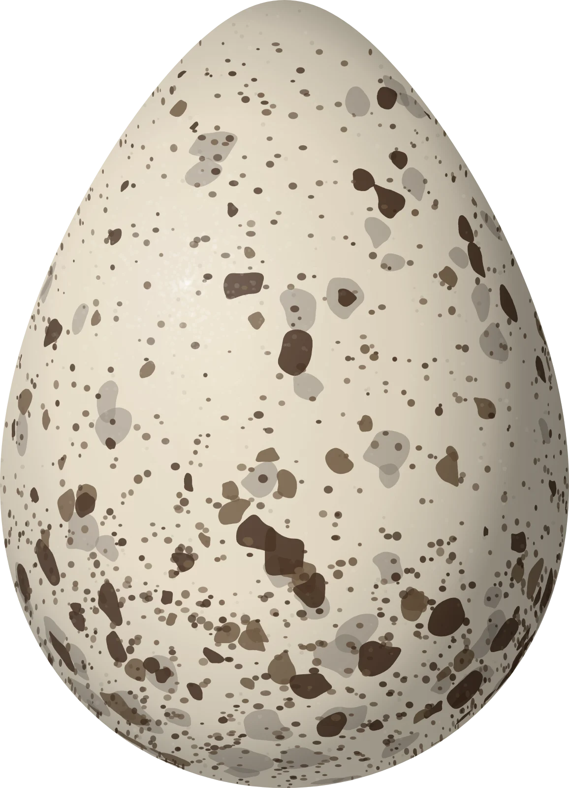 Illustration of an Upland Sandpiper (Bartramia longicauda) egg, 45 × 32.5 mm