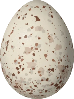 Illustration of a Vampire Ground Finch (Geospiza septentrionalis) egg, 19.9 × 15 mm
