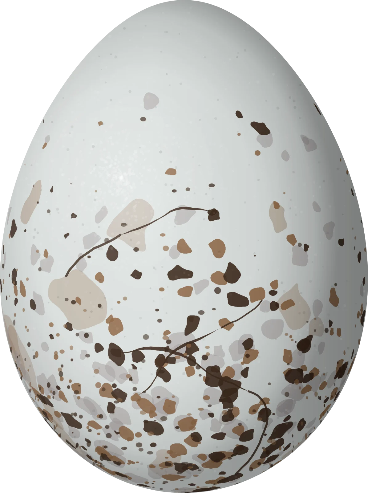 Illustration of a Variable Seedeater (Sporophila corvina) egg, 17.4 × 13 mm