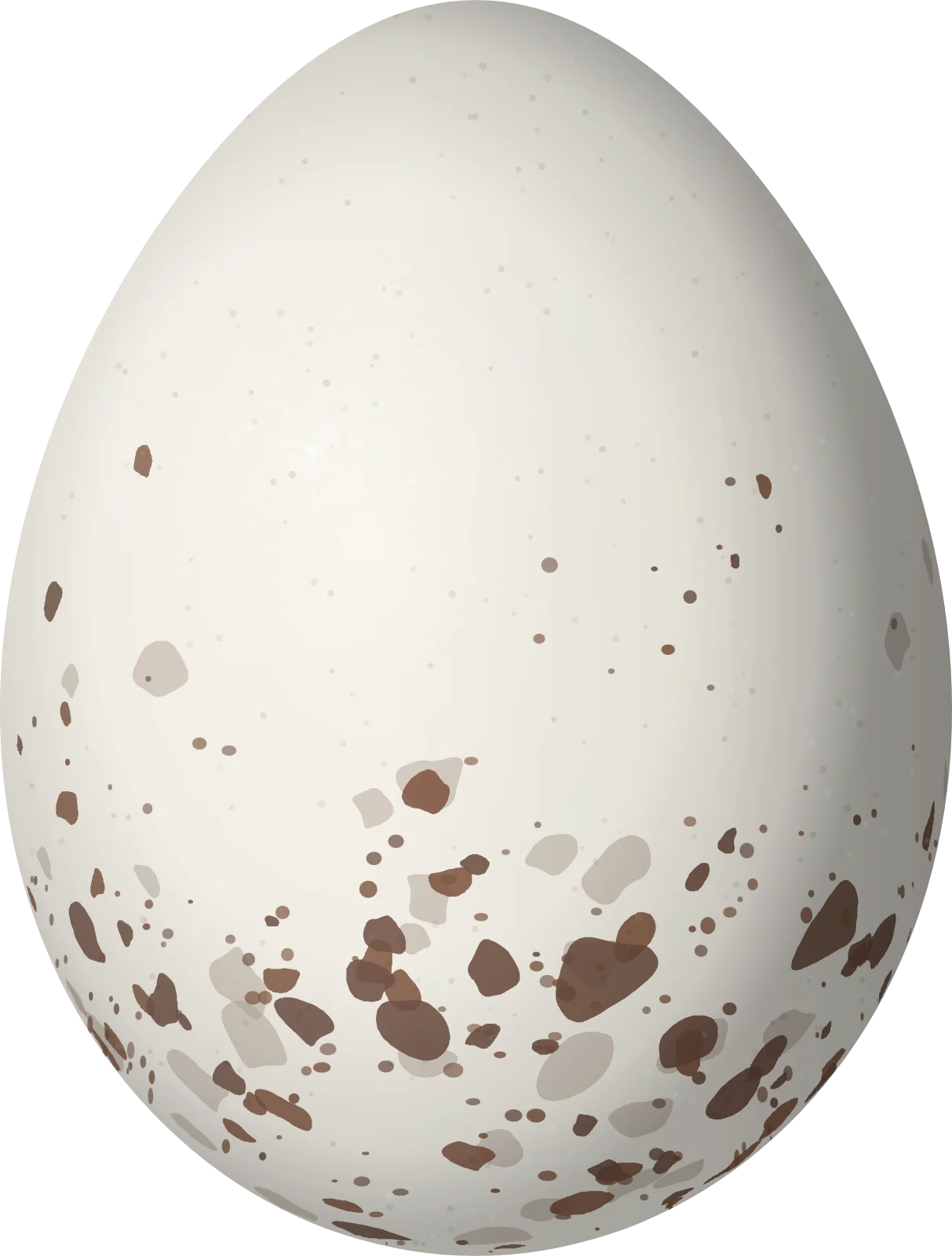 Illustration of a Variegated Bristle Tyrant (Pogonotriccus poecilotis) egg, 18.6 × 14.1 mm