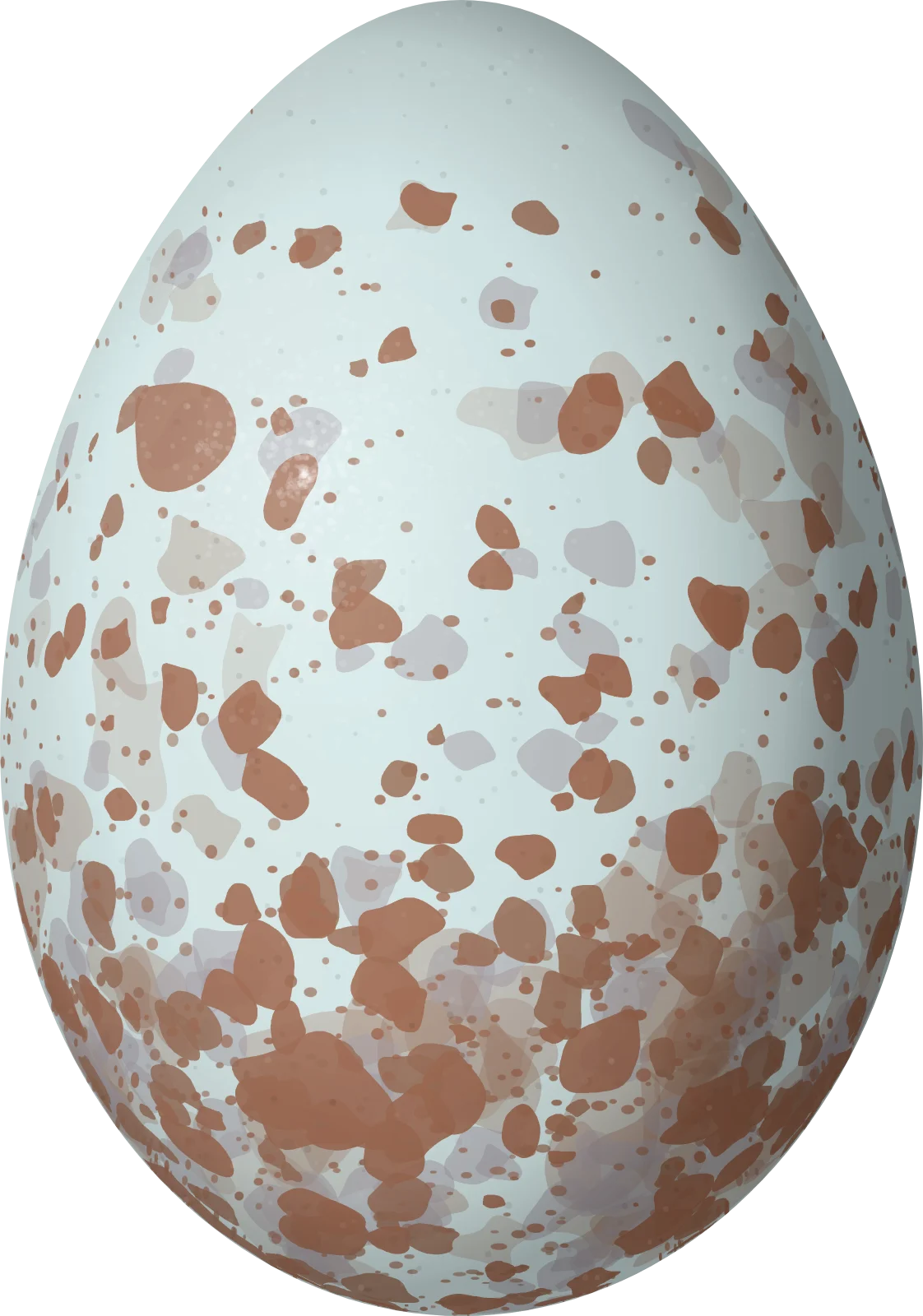 Illustration of a Varzea Thrush (Turdus sanchezorum) egg, 29.1 × 20.4 mm