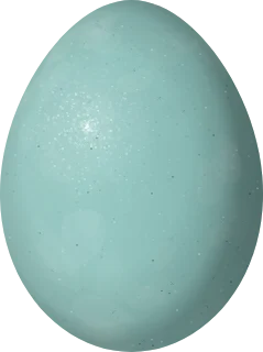Veery egg, 22.4 × 16.7 mm