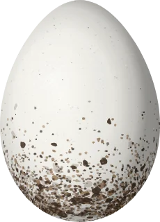 Illustration of a Velvet-fronted Euphonia (Euphonia concinna) egg, 18.1 × 13 mm