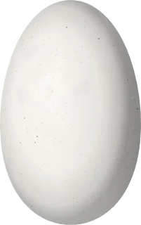 Illustration of a Velvet-purple Coronet (Boissonneaua jardini) egg, 15.1 × 9.5 mm