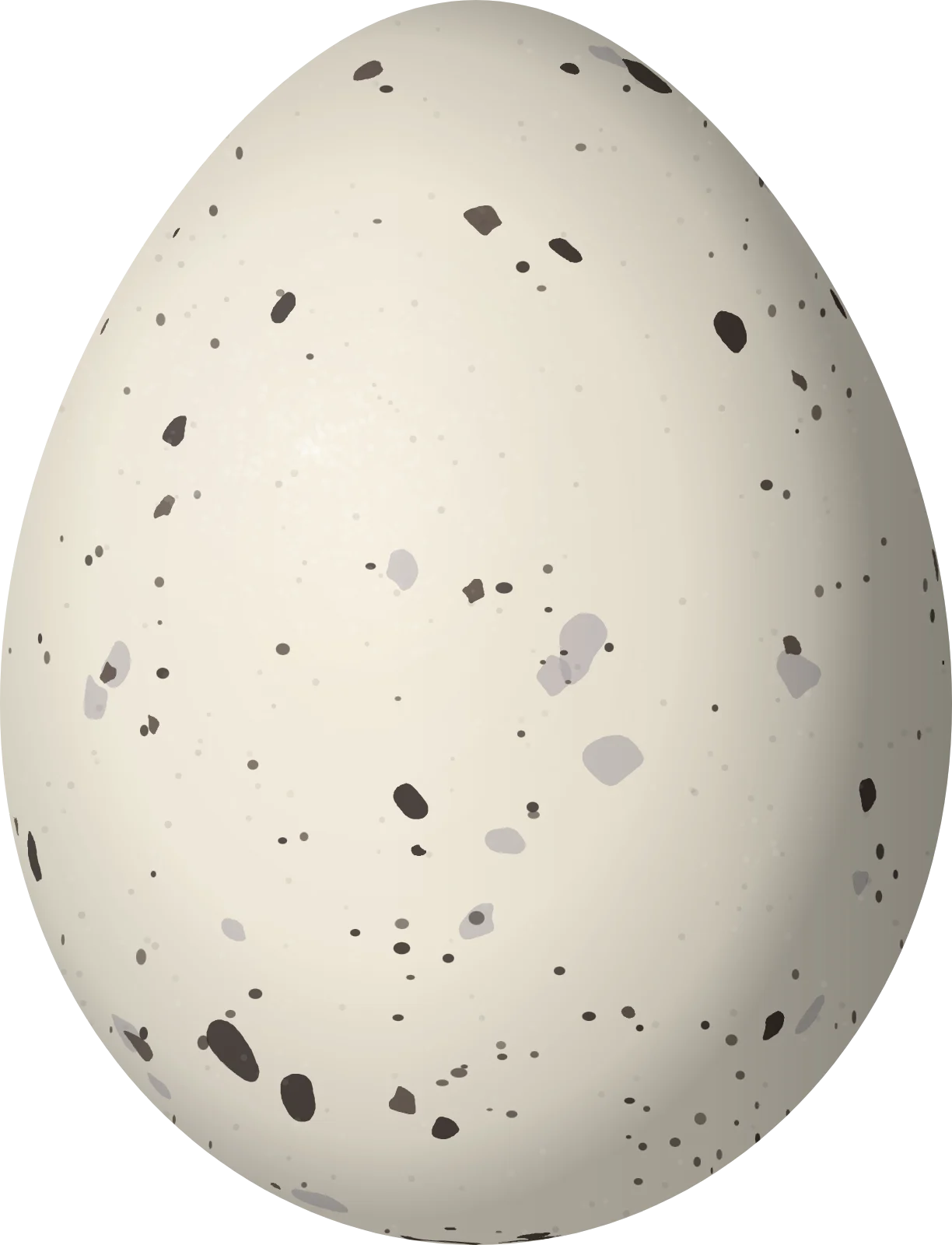 Illustration of a Velvety Black Tyrant (Knipolegus nigerrimus) egg, 20 × 15.3 mm