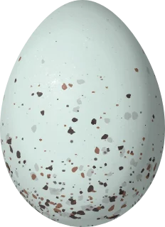 Illustration of a Venezuelan Flowerpiercer (Diglossa venezuelensis) egg, 17.5 × 12.7 mm