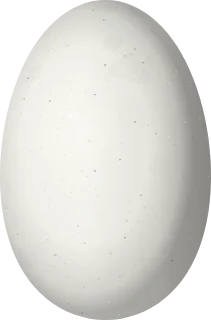 Illustration of a Veraguan Mango (Anthracothorax veraguensis) egg, 14.7 × 9.7 mm