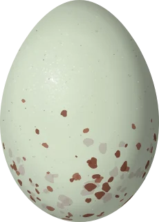 Verdin egg, 15.3 × 11 mm