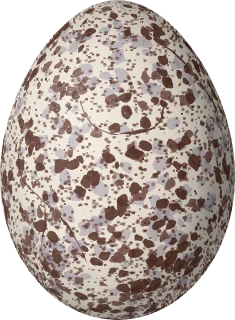 Vesper Sparrow egg, 20.7 × 15.2 mm