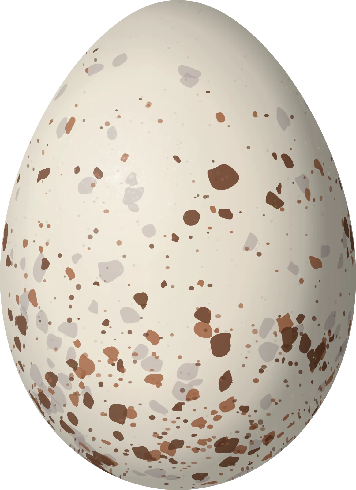 Illustration of a Vilcabamba Brushfinch (Atlapetes terborghi) egg, 23.8 × 17.3 mm