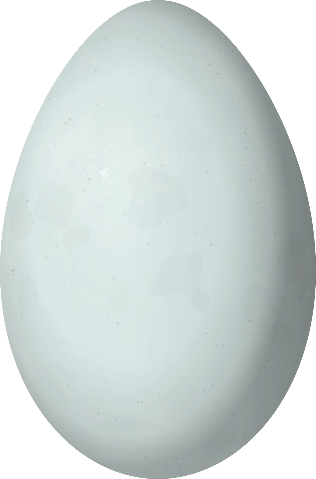 Illustration of a Village Weaver (Ploceus cucullatus) egg, 24.3 × 16.03 mm