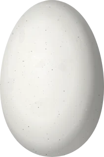 Illustration of a Violet-capped Hummingbird (Goldmania violiceps) egg, 13.5 × 8.9 mm