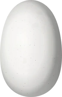 Illustration of a Violet-crowned Hummingbird (Ramosomyia violiceps) egg, 14 × 9 mm