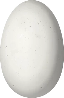 Illustration of a Violet-fronted Brilliant (Heliodoxa leadbeateri) egg, 13.5 × 8.9 mm