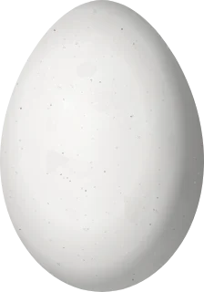 Violet-green Swallow egg, 18.7 × 13.1 mm