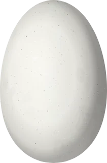 Illustration of a Violet-tailed Sylph (Aglaiocercus coelestis) egg, 13.5 × 8.9 mm