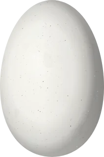 Illustration of a Violet-throated Metaltail (Metallura baroni) egg, 12.7 × 8.4 mm
