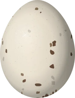 Virginia Rail egg, 32 × 24.5 mm