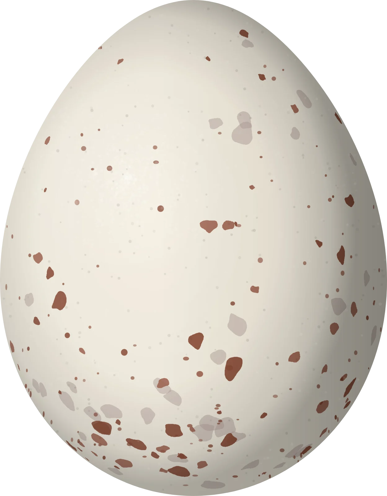 Illustration of a Virginia's Warbler (Leiothlypis virginiae) egg, 15.9 × 12.4 mm