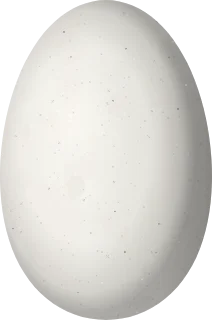 Illustration of a Volcano Hummingbird (Selasphorus flammula) egg, 12.2 × 8.1 mm